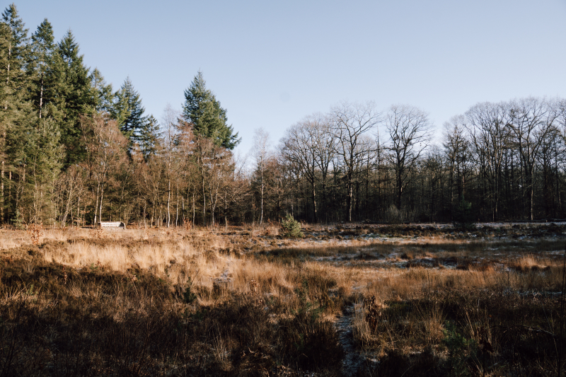 winter-2-daagse-wandeling-borger