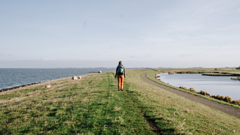 zuidwest-friesland-wandelen-dijk