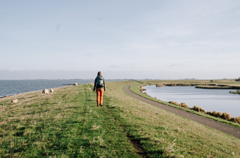 2-daagse wandeltocht met overnachting in Nederland