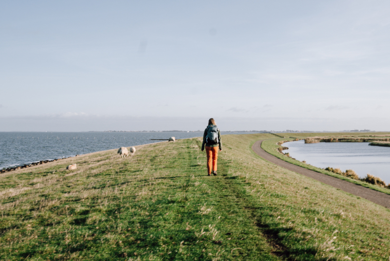 Ziltepad-microavontuur in Friesland