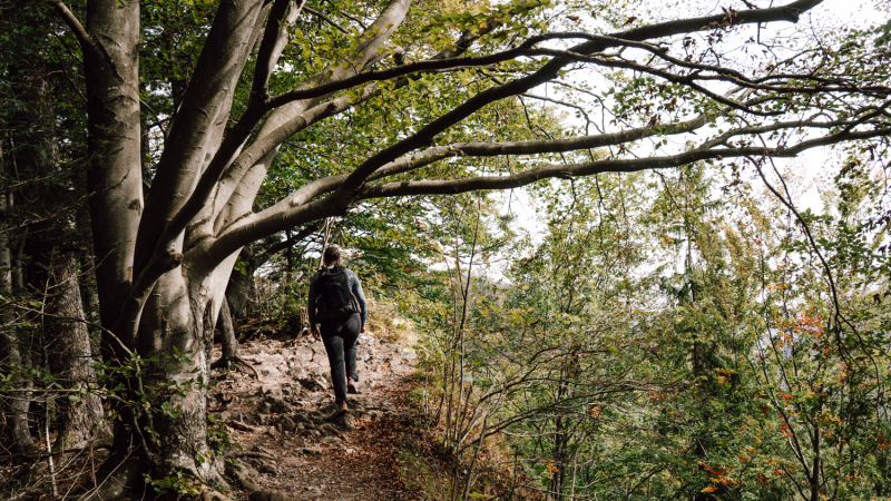 zwaarte-5-daagse-hike-malopolska