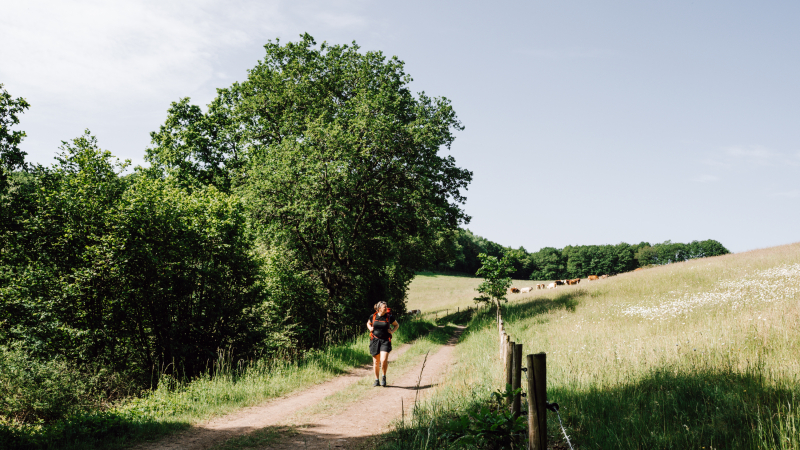 3 dagen wandelen op de Eifelsteig