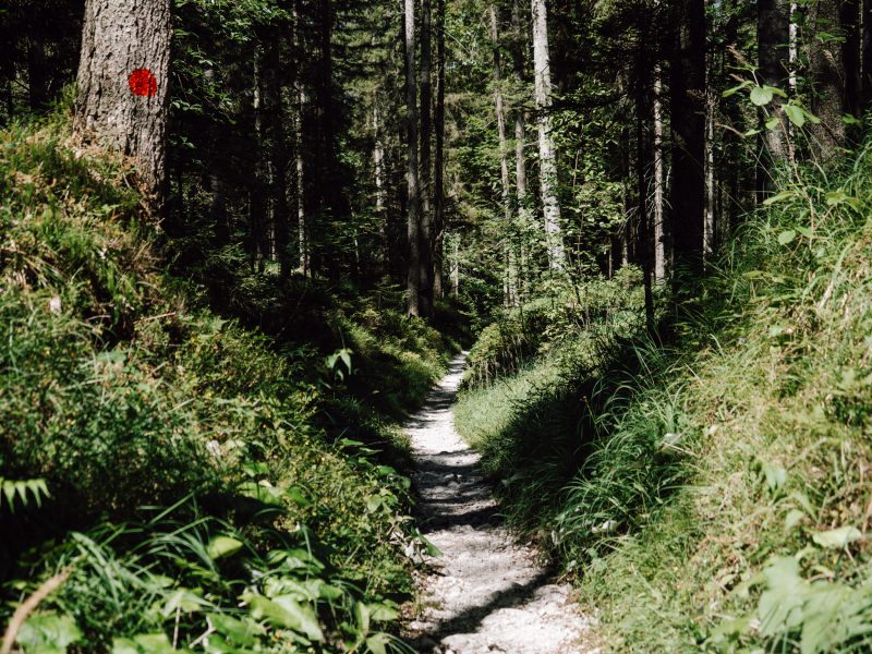 Beginner huttentocht Wilder Kaiser Beginner huttentocht Wilder Kaiser