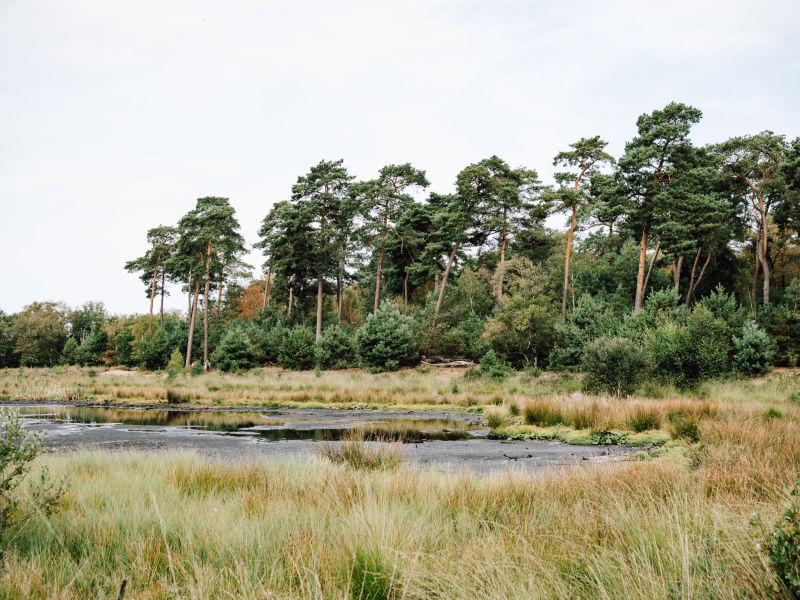 Foto gemaakt met lichtgewicht camera voor wandelen