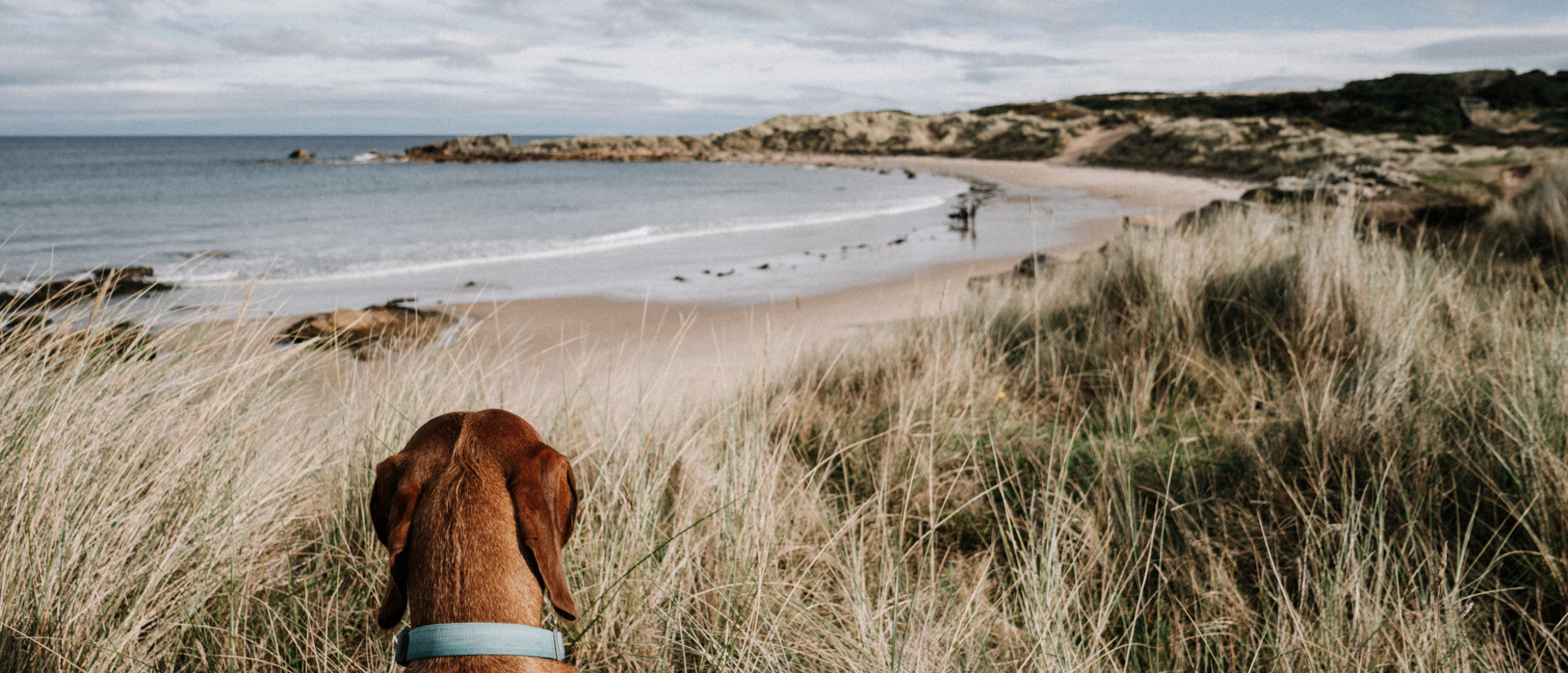 Moray Coast Trail Schotland wandelen