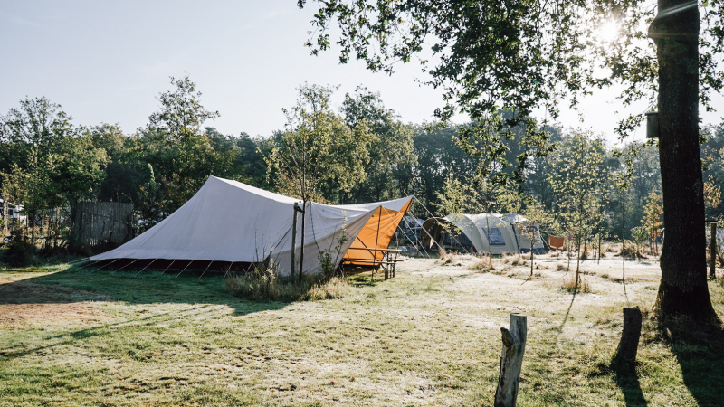 3-daagse-route-drenthe-natuurkampeerterrein-groene-hen