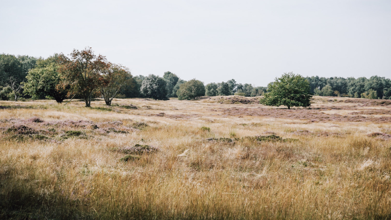 Wandelweekend-met-overnachting-in-Nederland-Drenthe