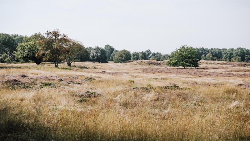 3-daagse-route-natuurkampeerterreinen-drenthe