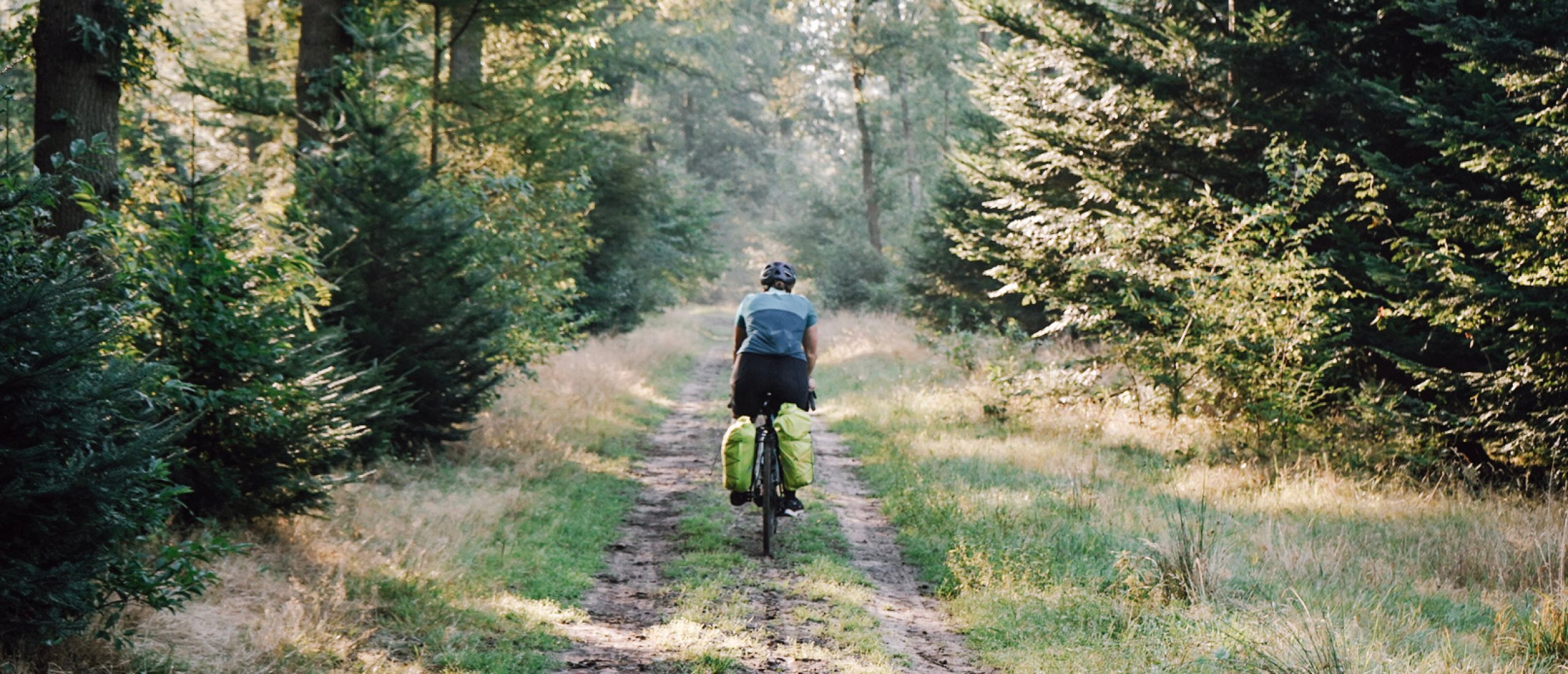 3-daagse wandelroute langs natuurkampeerterreinen in Drenthe