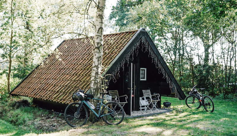 3-daagse-route-natuurkampeerterreinen-drenthe-veldbloeme