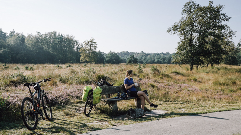 3-daagse-tocht-natuurkampeerterreinen-drenthe