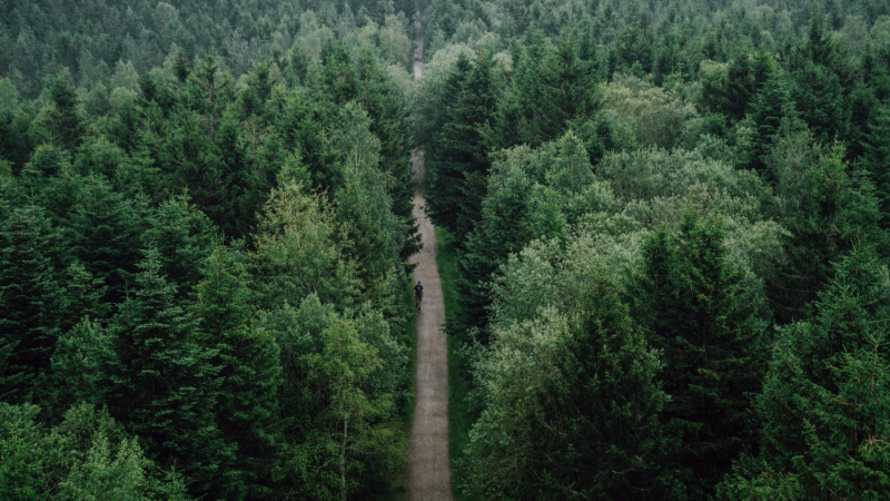 3-daagse-wandelroute-noordelijke-zwarte-woud