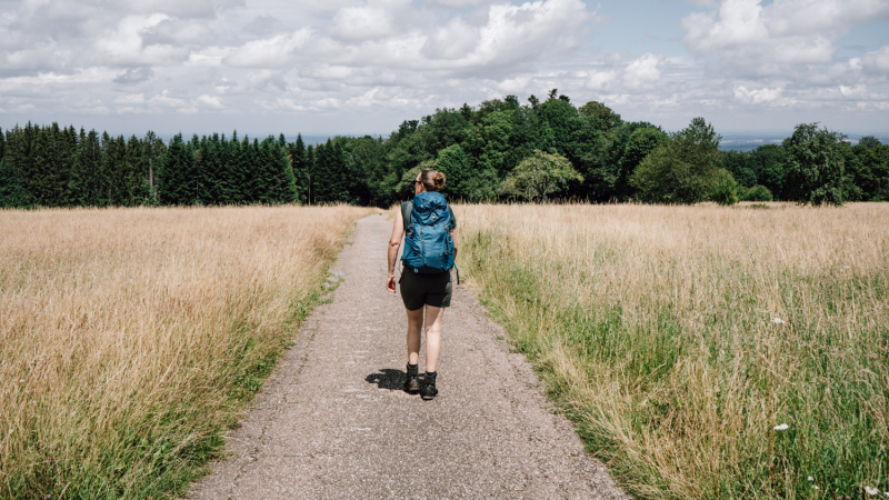 3-daagse-wandeltocht-noordelijke-zwarte-woud-gpx