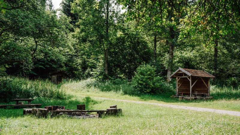 3daagse-wandeltocht-noordelijke-zwarte-woud-tips