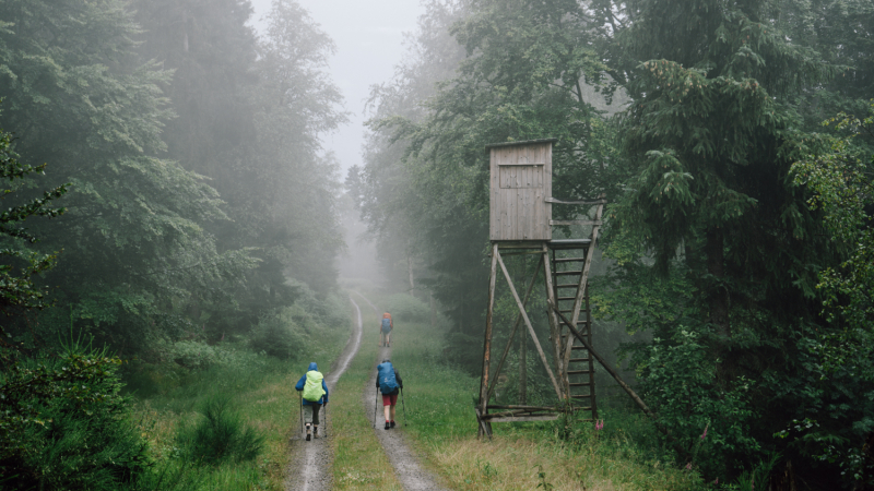 3daagse-wandeltocht-noordelijke-zwarte-woud-tips