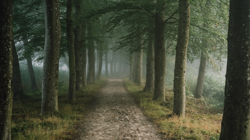 beginnen-met-gravelbiken-regels