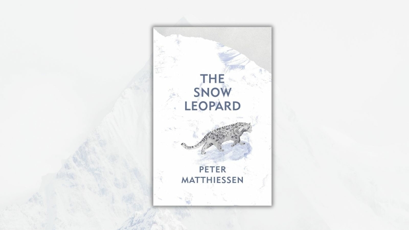 boeken-over-bergen-snow-leopard