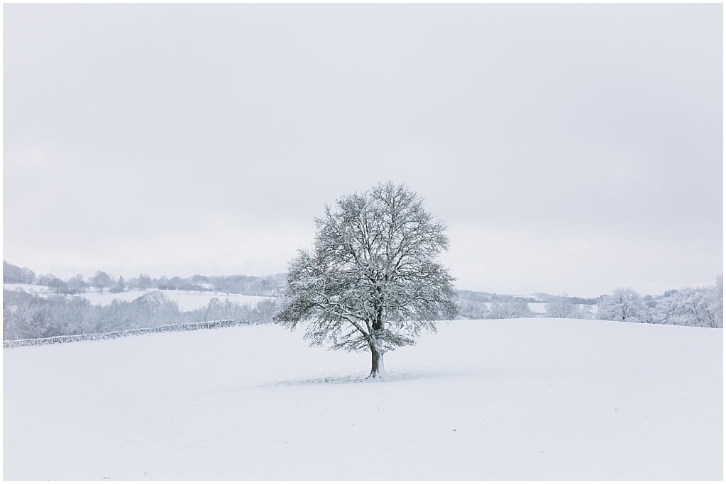 boom-sneeuw-auvergne