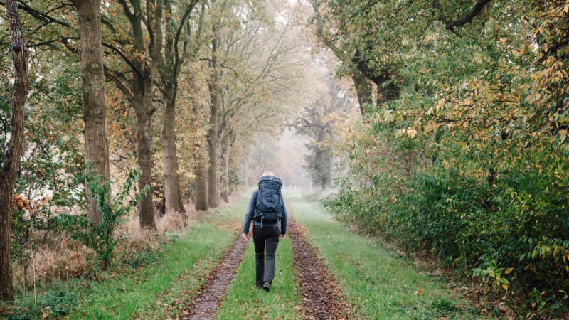 cabiner-wandelen