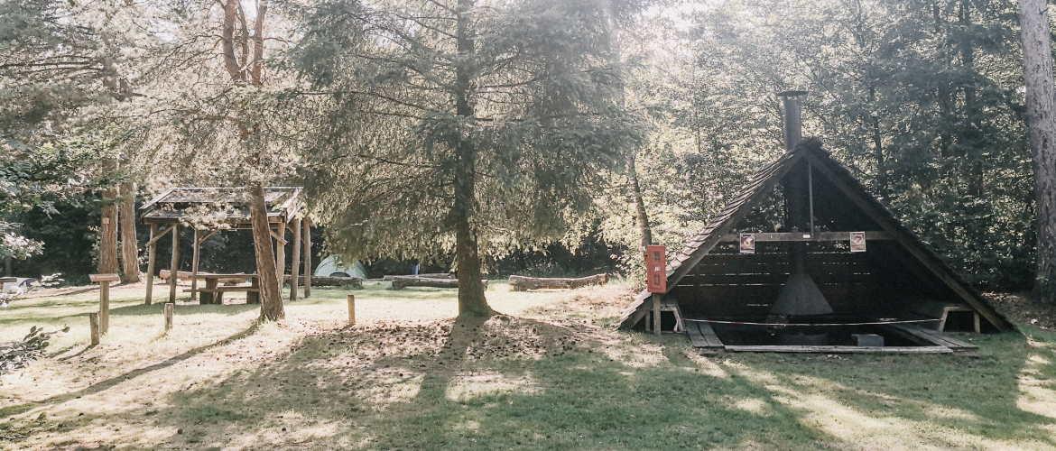 De groenste camping in de Maasduinen: de Cokse Heide