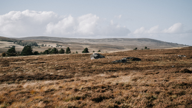 dava-way-in-schotland