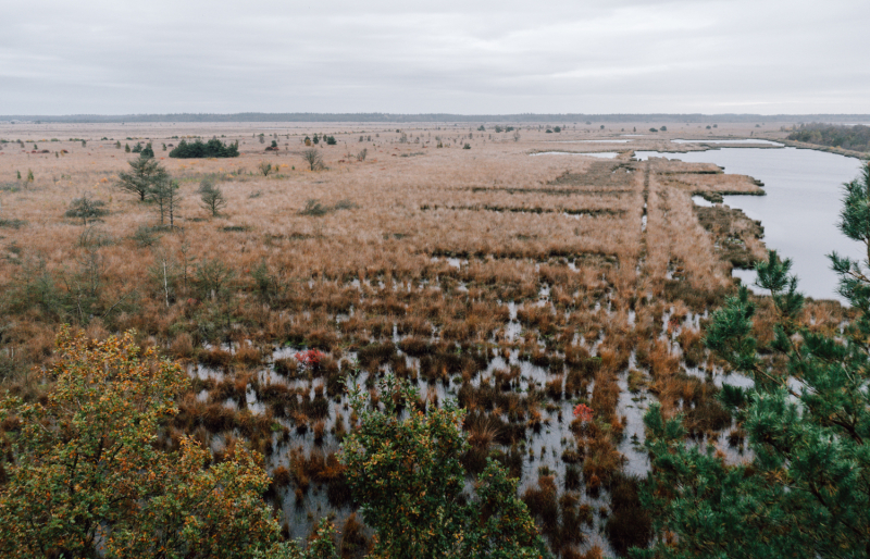 fietsen-fochteloerveen