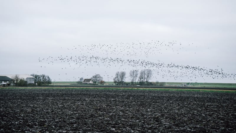 fietsroute-noord-holland-kraampjes-langs-weg