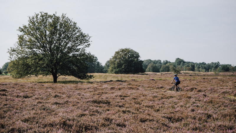 fietsroute-wandelroute-langs-natuurkampeerterreinen-drenthe