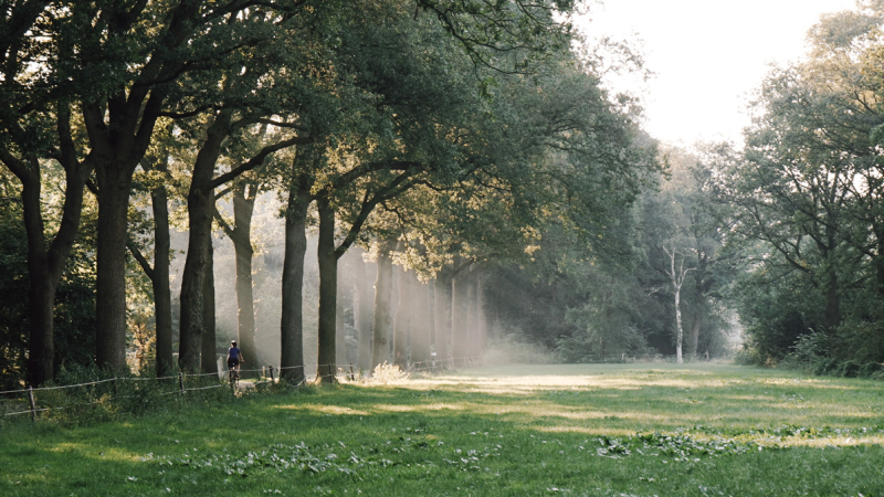 fietstocht-drenthe-ochtend