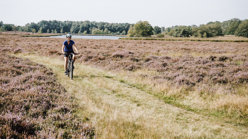 fietsvakantie-drenthe-verslag