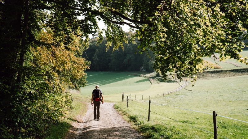 Freiburger-Voralpenweg-wandelen