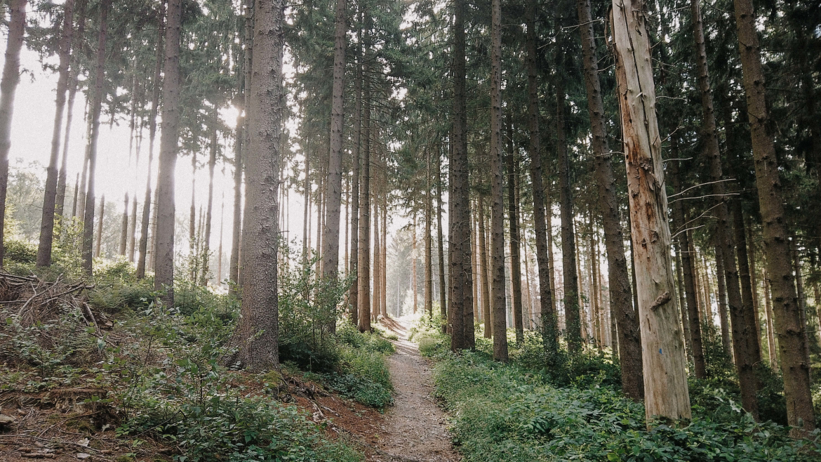 gpx-wandelroutes