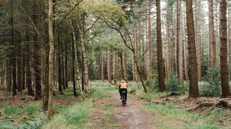 gravelbiken-bossen-friesland