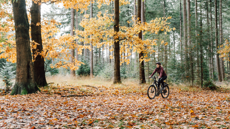 Gravelbikeroutes-Nederland