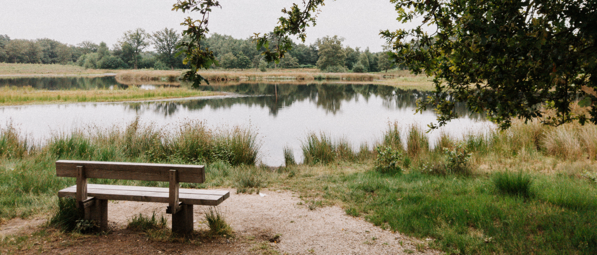 Wandelen bij de Hatertse en Overasseltse Vennen