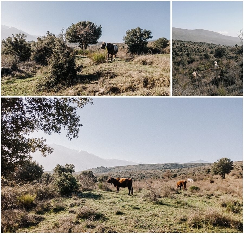 trektocht-uitzicht-canigou