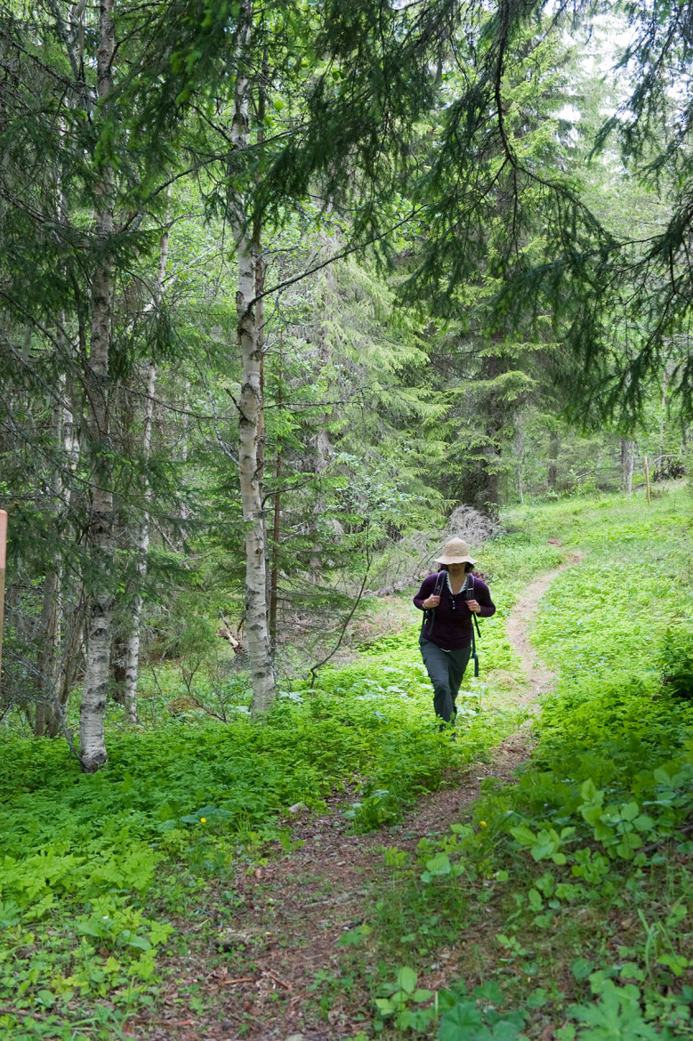 in-je-eentje-wandelen-in-zweden
