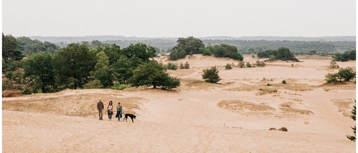 Het Kootwijkerzand: de mooiste wandelroutes &#038; accommodaties