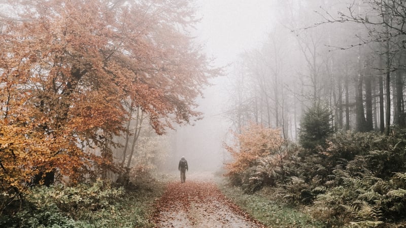 korte-wandelvakanties-duitsland