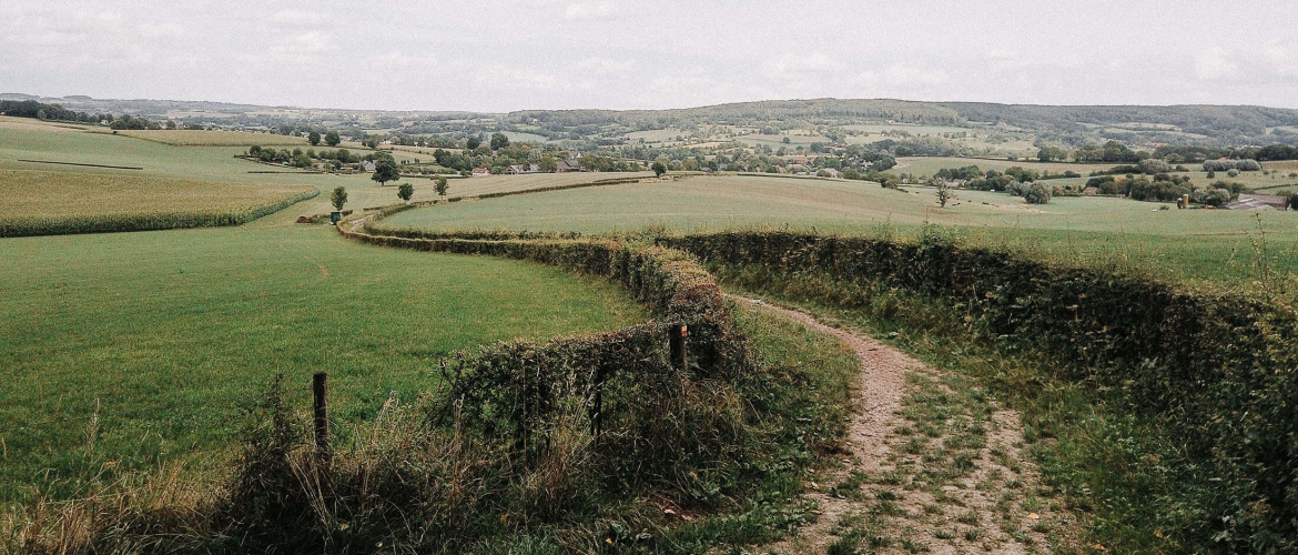 Het Krijtlandpad: 92.5 kilometer wandelen in Limburg