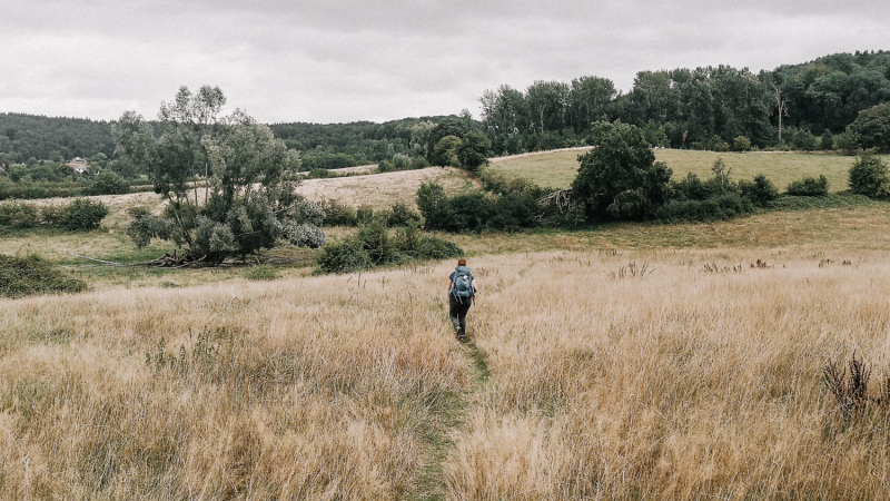 lange-afstand-wandelroute-nederland