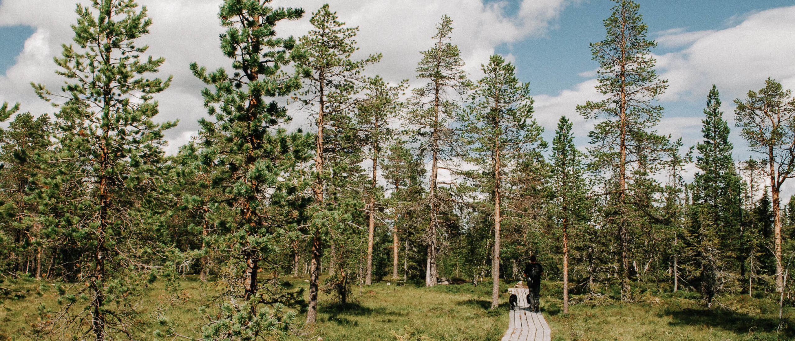 De mooiste lange afstand wandelroutes in Zweden