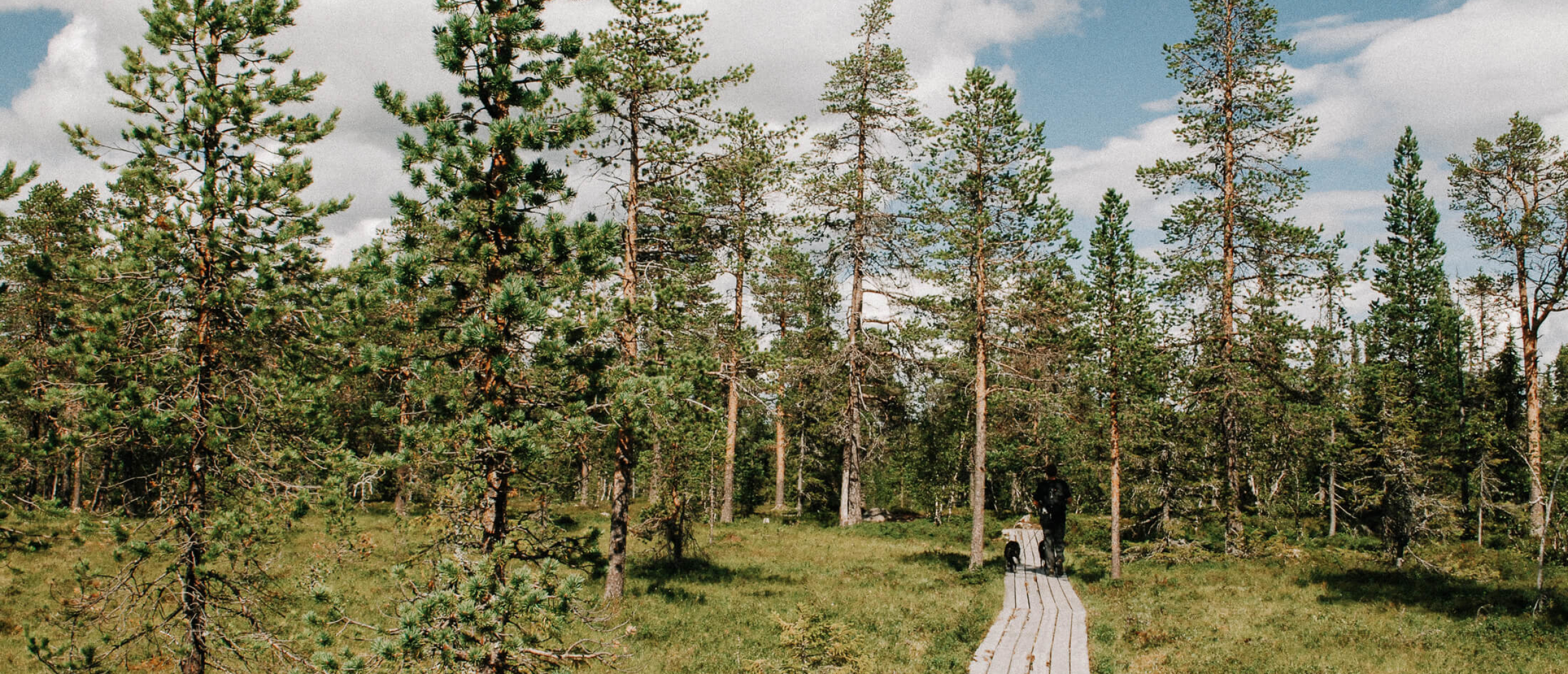 Lange Afstand Wandelroutes in Zweden Lange Afstand Wandelroutes in Zweden