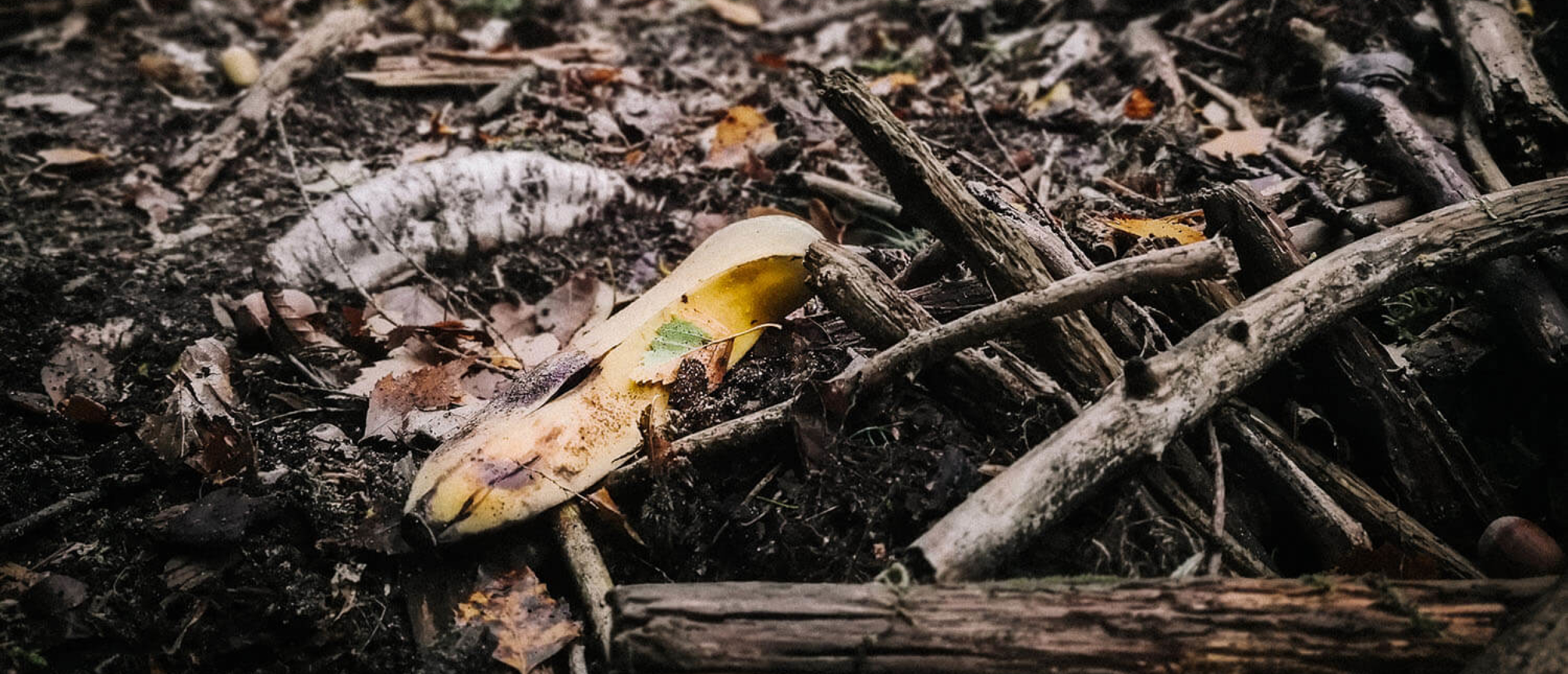 Leave no Trace - hoe doe je dat Leave no Trace - hoe doe je dat