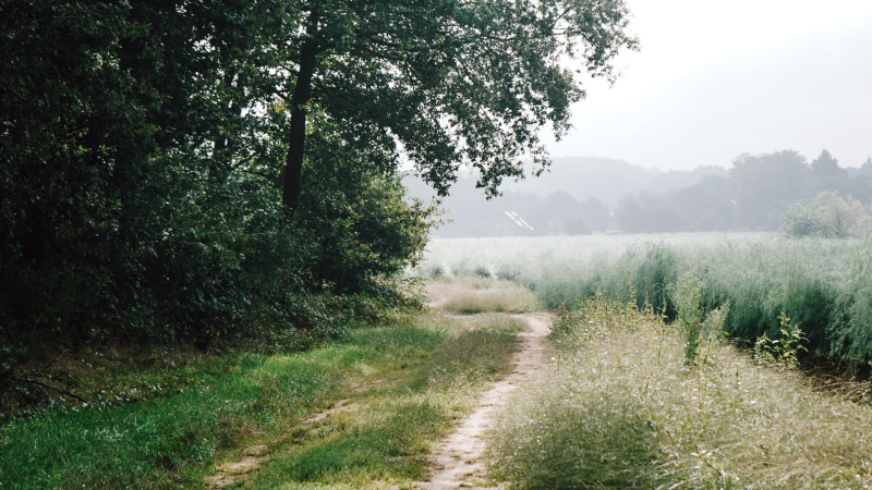 limburg-divide-fietsen