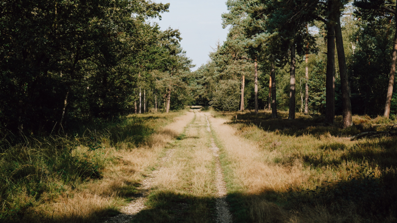 waar-mag-je-gravelbiken-in-nederland