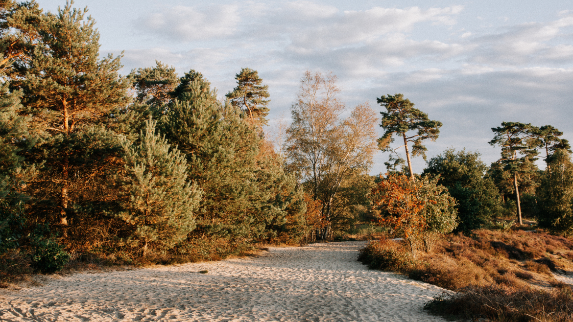 maasduinen-wandelroutes
