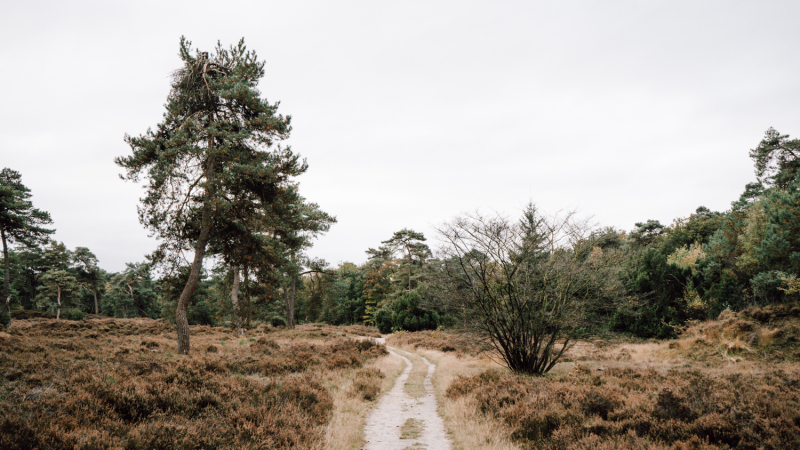 microavontuur-drenthe-leewal