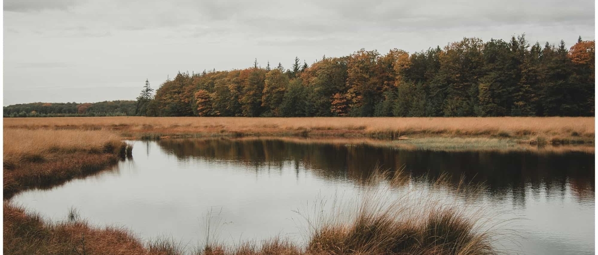 Over het Roots Natuurpad in Drenthe: een microavontuur