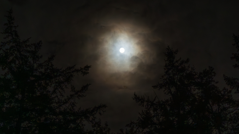 microavontuur-drenthe-vollemaan